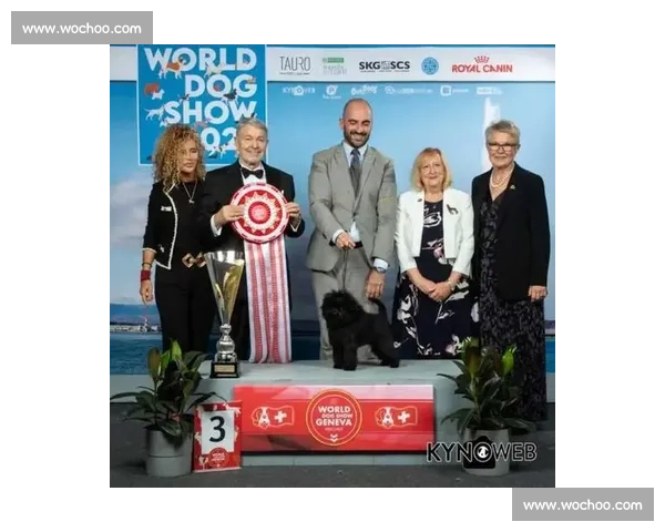 极速竞跑盛宴：全球顶尖猎犬角逐冠军荣耀全纪录